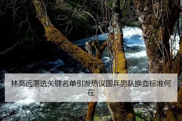 林高远落选关键名单引发热议国乒男队换血标准何在