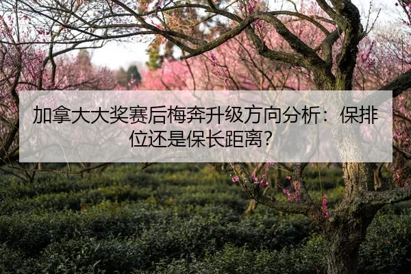 加拿大大奖赛后梅奔升级方向分析：保排位还是保长距离？